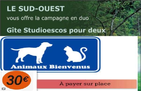 Gite Studioescos El Uno Bagian luar foto